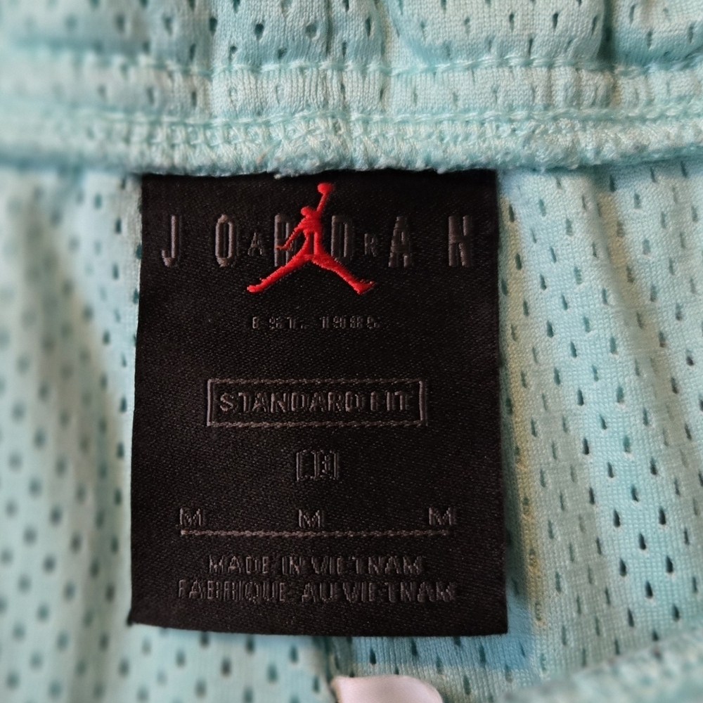 Air Jordan Dry-fit Teal Mesh Shorts with 90's Retro Logo - Picture 2 of 5